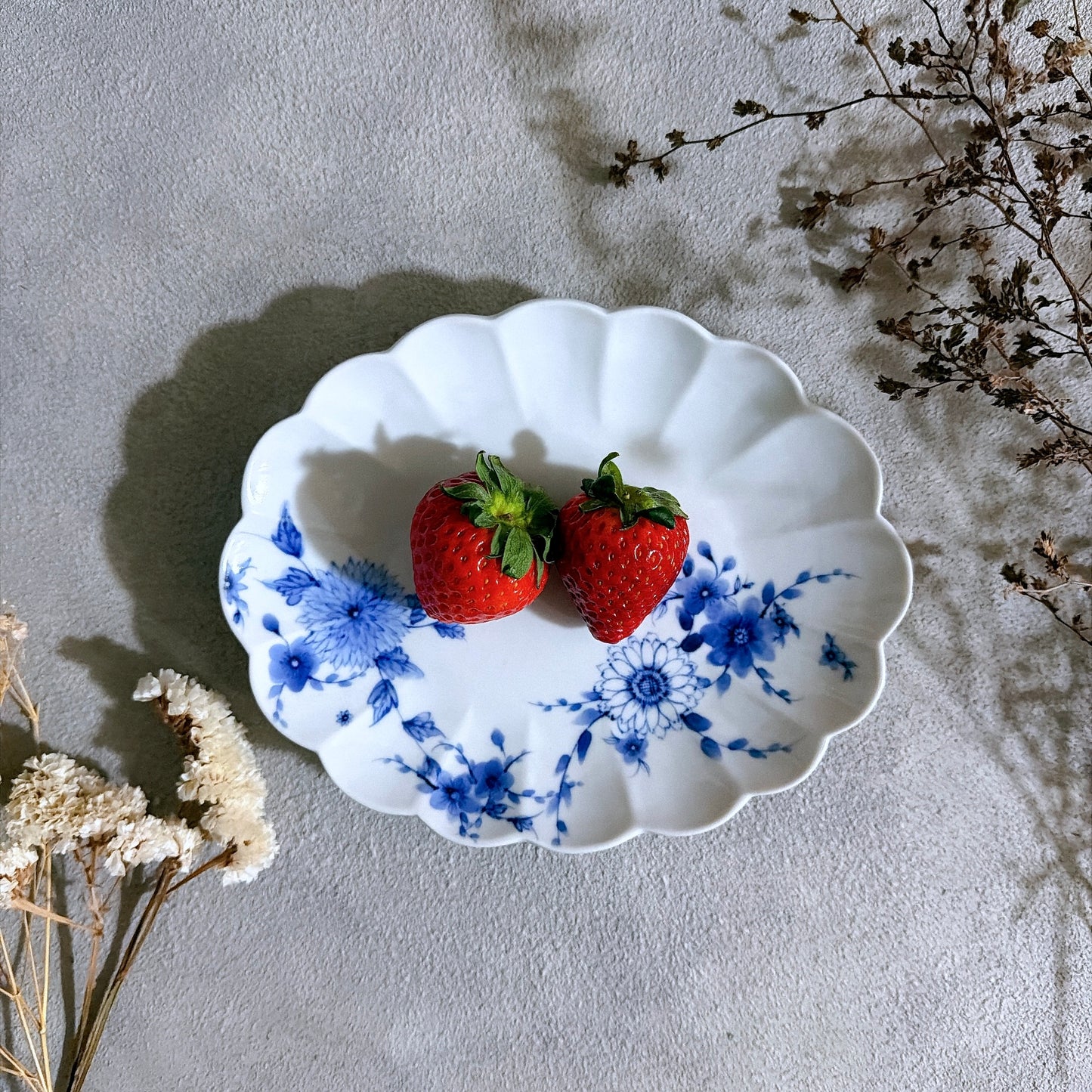九谷焼　楕円皿　染付　花舞　菊　陶磁器　渡辺秀代【予約商品】